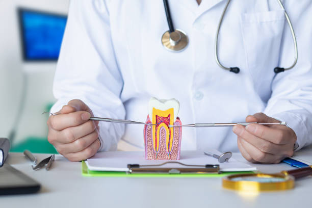 Trusted SC Emergency Dental Service Experts